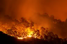 Insurance experts poised to assist residents affected by wildfires