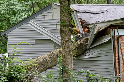 Insured loss from Hurricane Isaias revealed