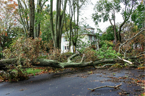 Hurricane Laura damage estimates revealed