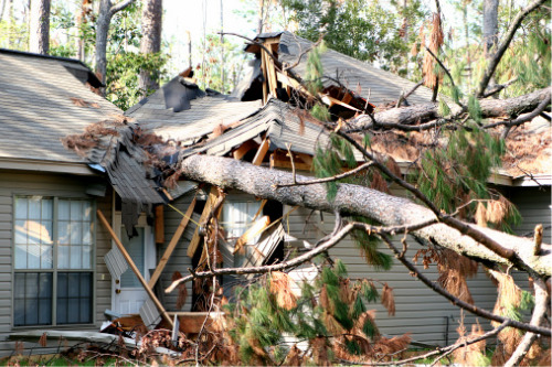 Insurance commissioner urges insurers to “generously interpret provisions” post-Ida