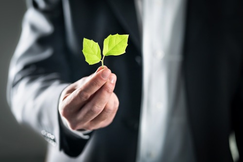 NGOs call on insurers to champion a 'green recovery' from pandemic