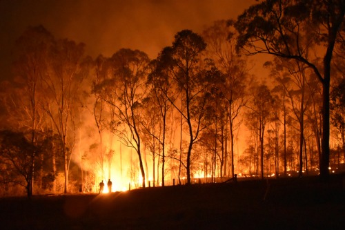 RMS to launch new climate change models