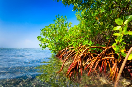 AXA XL launches new tool for coastal risks