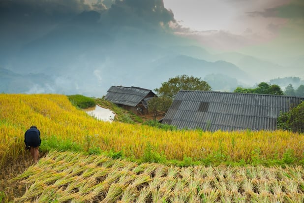 PH bill encouraging agricultural insurance growth passes final reading