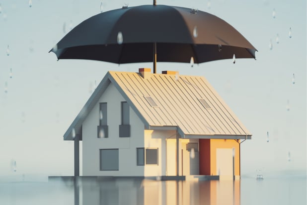Role of home insurance within the wider NZ climate adaptation plan