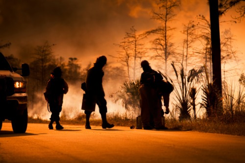 The resilience triangle: Mitigating global disaster losses