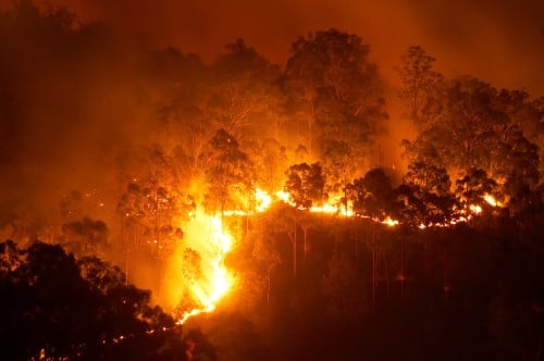 Victoria fire declared a catastrophe