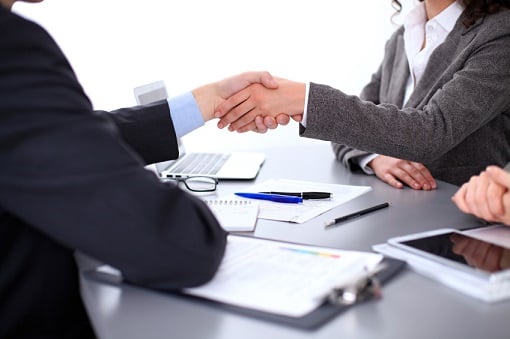 Hippo makes senior leadership appointments