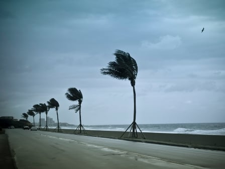 Hurricanes had knock-on effect on marine supply chains