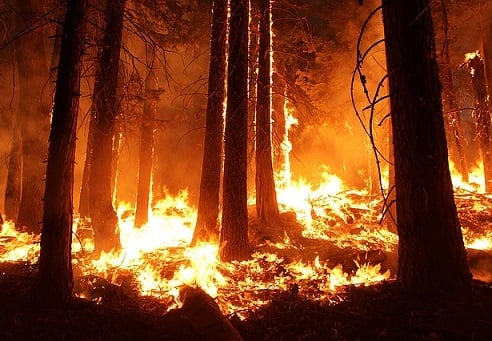 More insurers refusing to offer policies to wildfire-prone communities