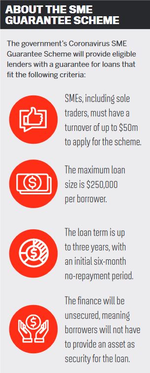 About the SME Guarantee Scheme