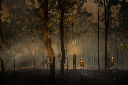 Australian bushfires: Industry rallies to provide support