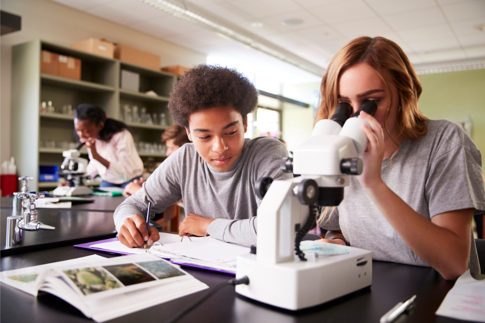 How dissections can help to build students