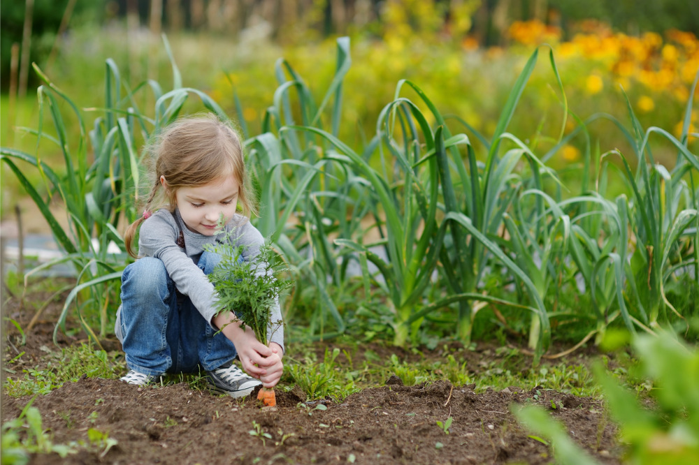 How schools and families can take climate action by learning about food systems