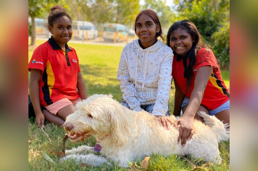 Therapy store dog brisbane