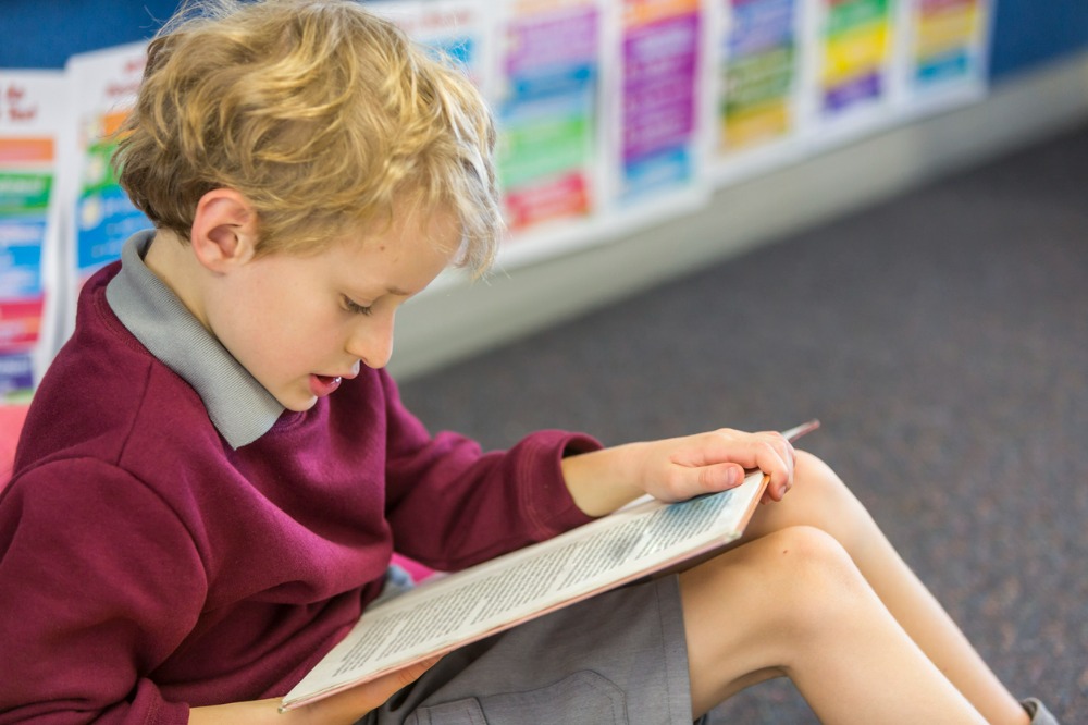 Victoria’s phonics and explicit teaching shake-up gets mixed reaction