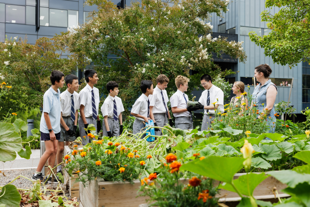 Camberwell Grammar School aims for Net Zero by 2030