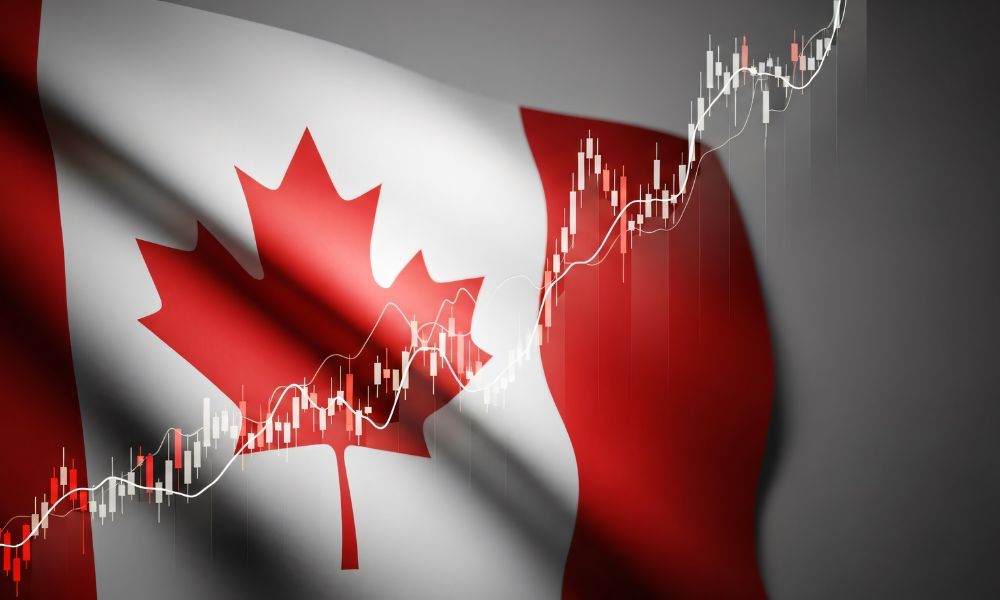 Canadian equities face institutional exodus despite strong returns