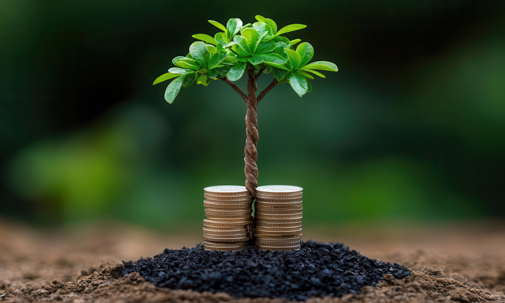 Ontario pension plan caps 2025 with $132B in net assets | Benefits and  Pensions Monitor