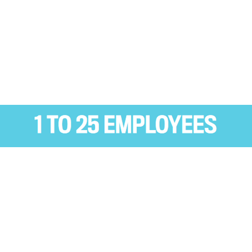 1 to 25 EMPLOYEES