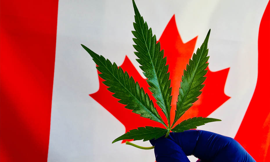Cannabis 2.0 regulations in force Oct. 17