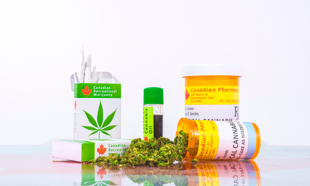 N.L. court discusses employer’s duty to accommodate disability of employee who uses medical cannabis