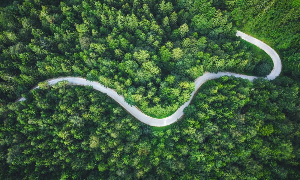 The winding road to meeting ESG goals