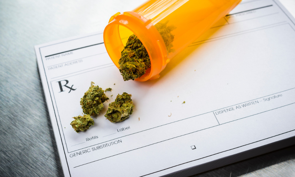 N.B. Court affirms exclusive jurisdiction of Commission in authorizing medical marijuana use