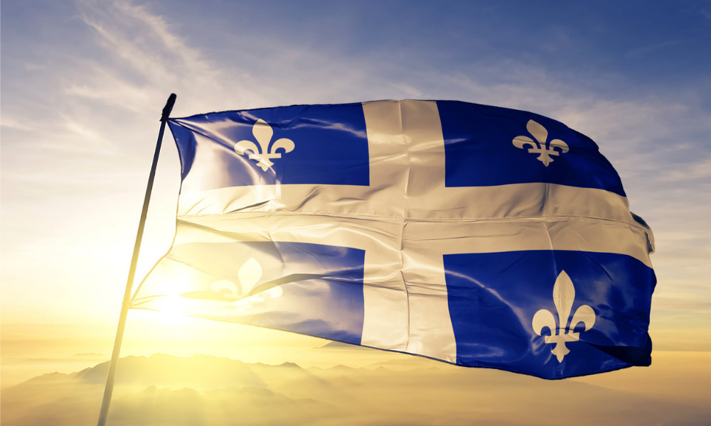Quebec initiatives seek to address sexual and domestic violence