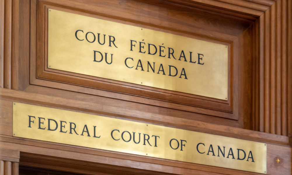 Federal Court of Appeal hears labour, patent infringement, excise 