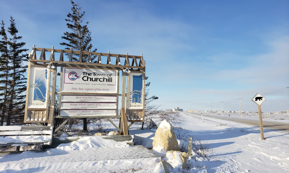 Fillmore Riley takes a trip to the tundra for its firm retreat - Vimarsana News