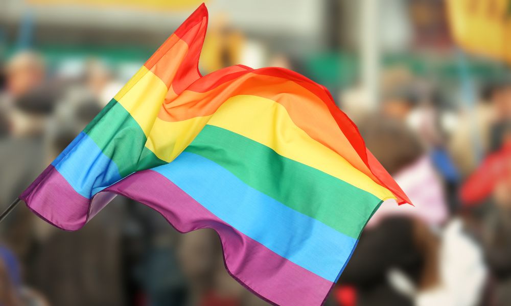 LGBTQ+ rights-centred pro bono legal services soared in the past decade ...