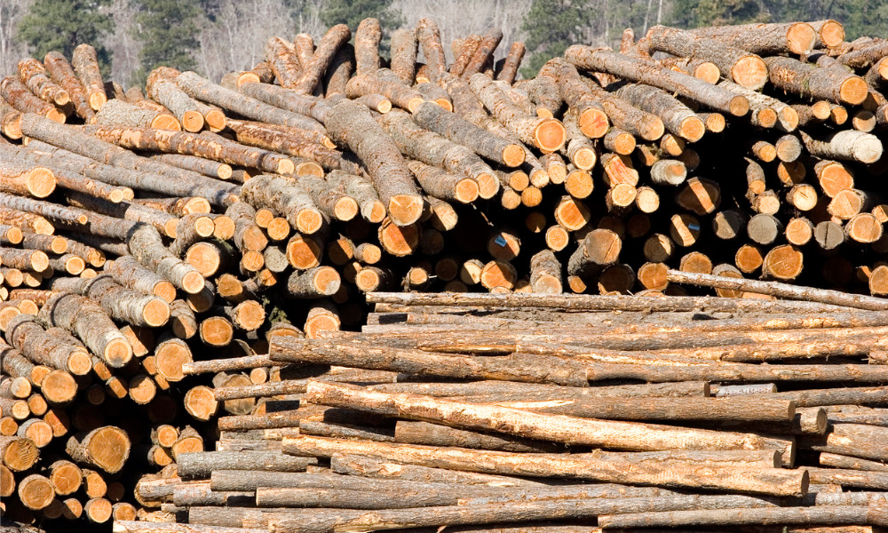Accommodation has its limits for B.C. pulp, paper company