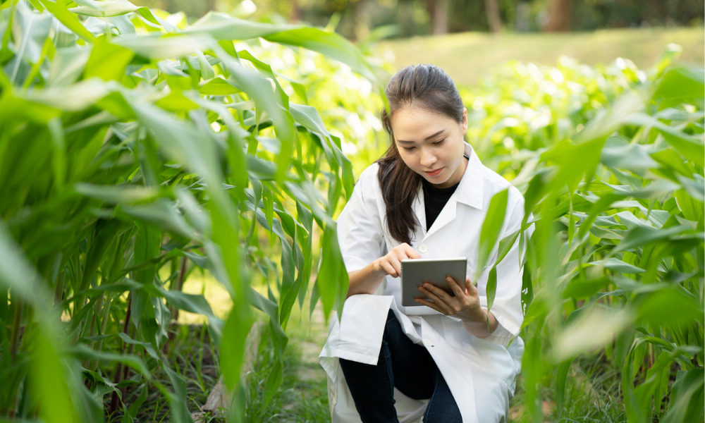 Apply now: Employers offered wage subsidies for green jobs