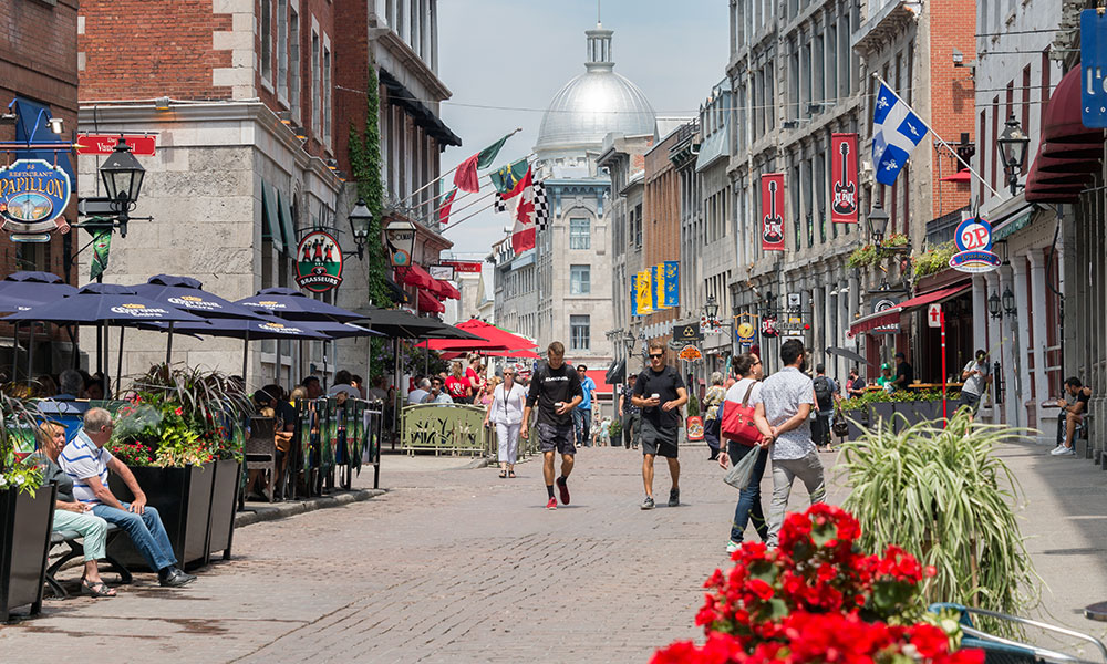 Quebec launches online job portal