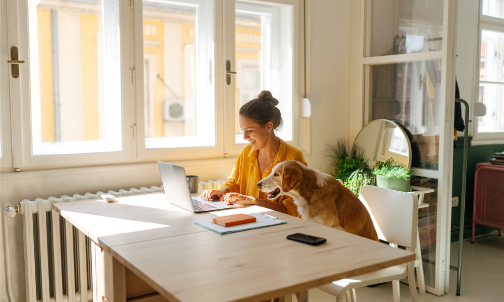 Remote work may be falling, but hybrid work is rising - Vimarsana News
