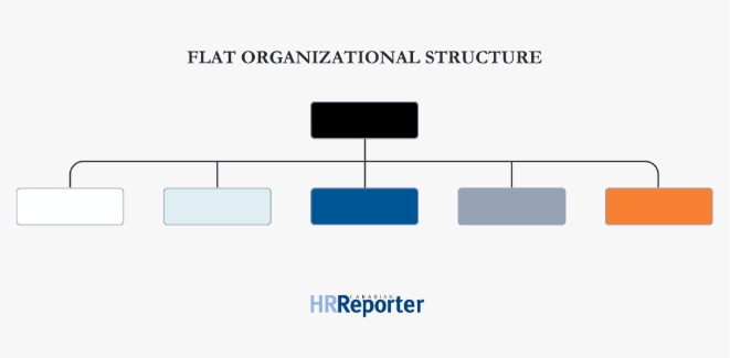 Flat organizational structure example with minimal management layers and wide span of control 
