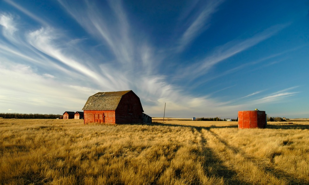 Why inflation preppers might want to consider farmland investments