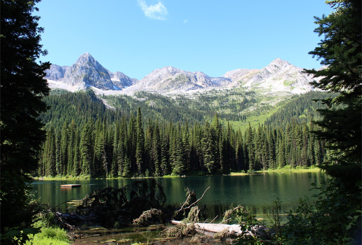Lake Fernie in BC on a clear day, with a forest of trees and the mountains in the background 