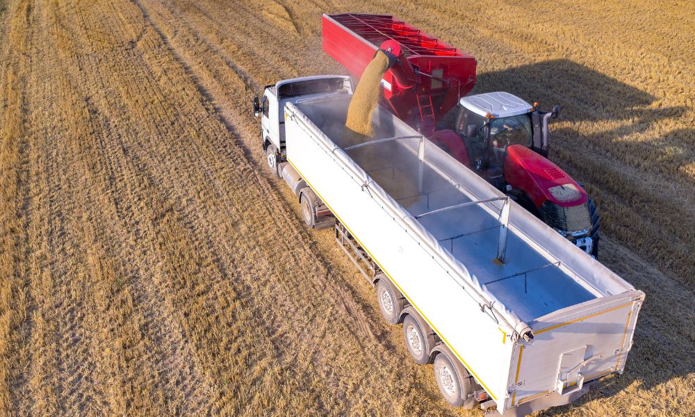 B.C. farm fined 7,500, banned from hiring foreign workers