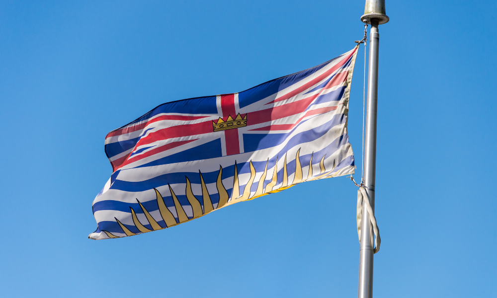LSBC argues for 'appropriate distance' between bar and state at trial over Legal Professions Act