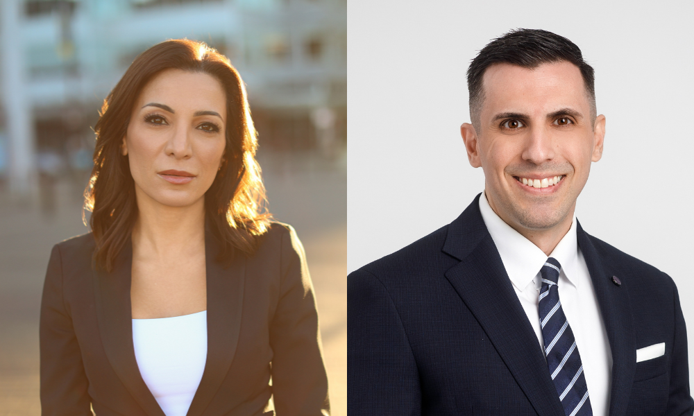 Ahluwalia intimate partner violence tort causes family law fallout