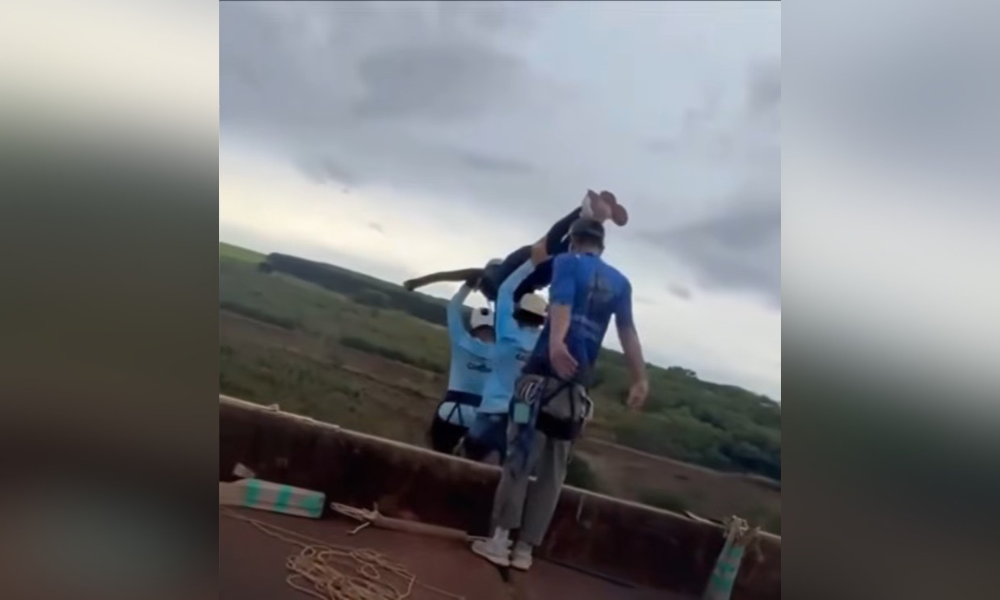 When the checks break down: bungee expert on a fatal Brazil rope jump ...