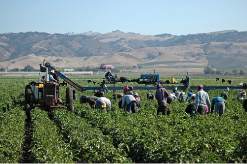 EPIC introduces national farm & ranch practice