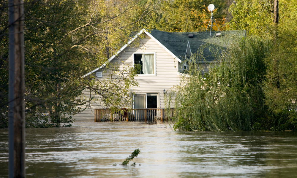 Personal flood insurers seize market development amid NFIP pricing challenges