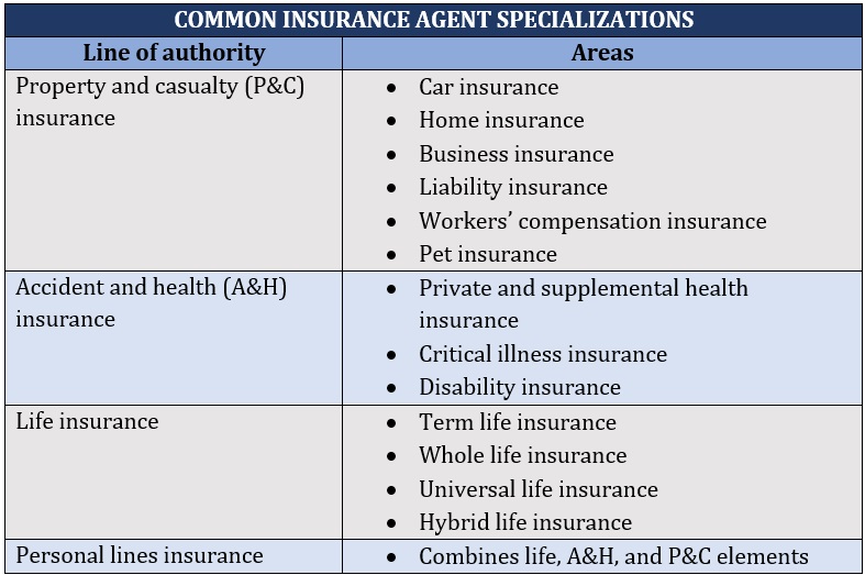 How to become an insurance agent – choosing your specialization