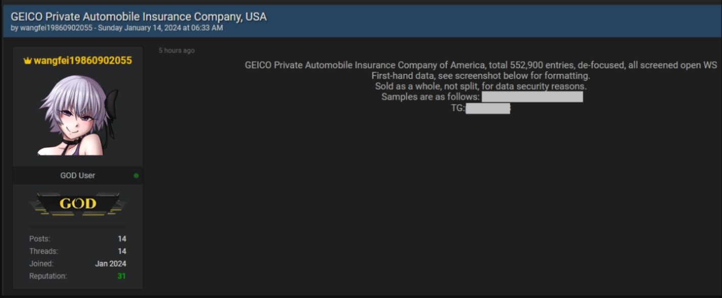 Cyber crime report – screenshot of GEICO compromised data on dark web 