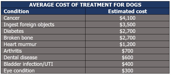 Average cost best sale of a dog