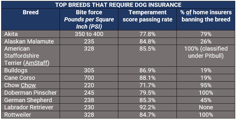 Types of sale dog insurance