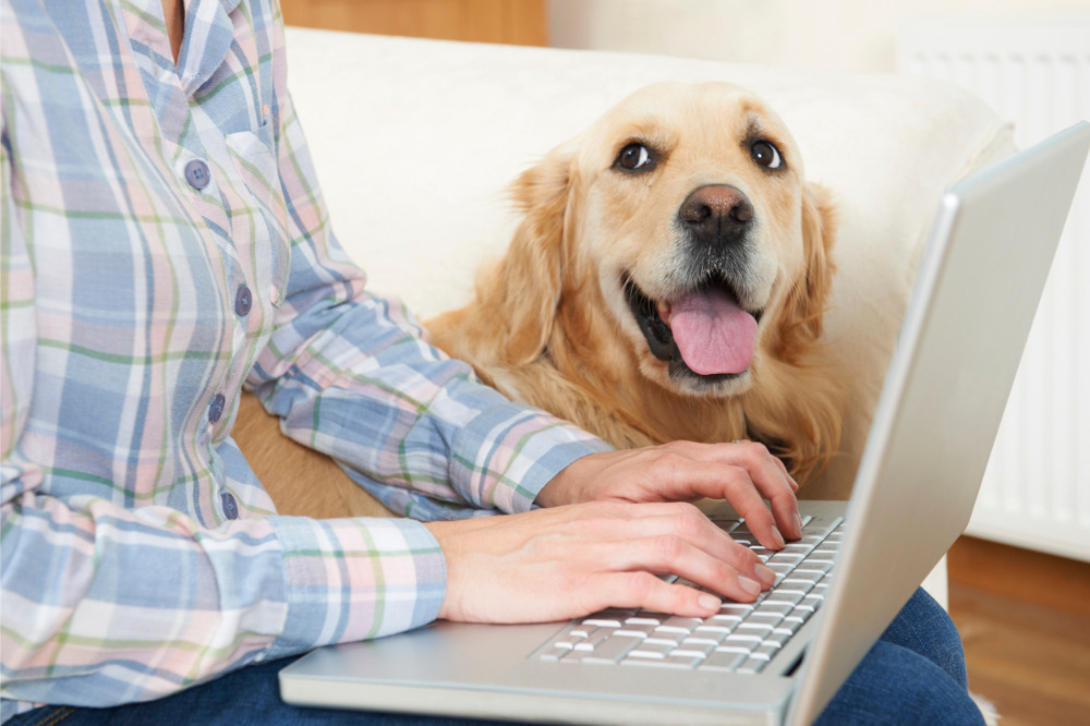 Is dog insurance worth it? Learn your answer to that question here